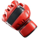 MMA category icon