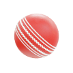 Cricket Ball category icon